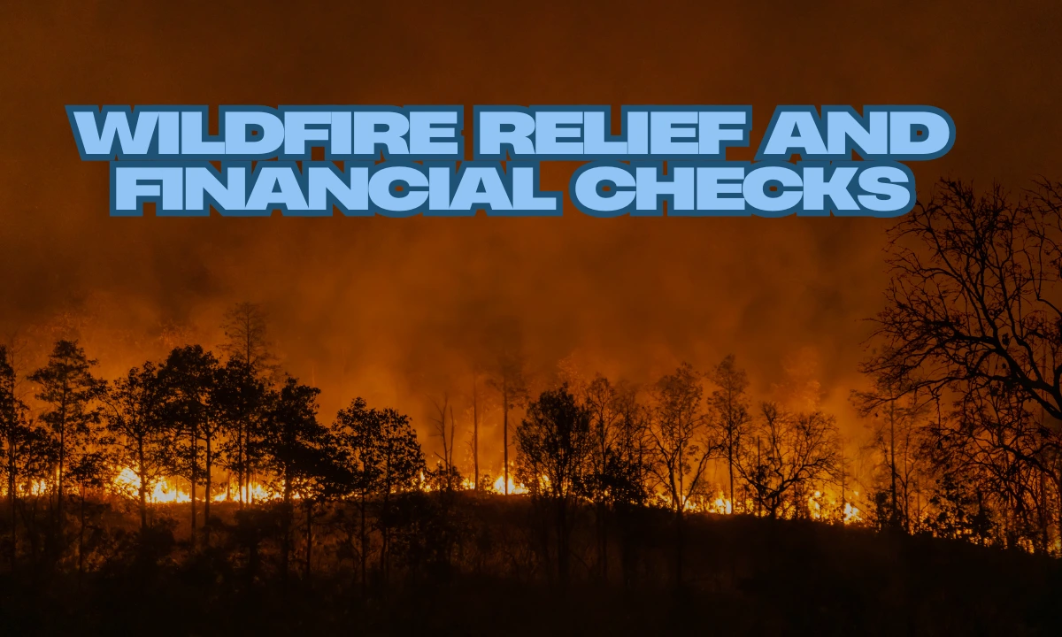 Wildfire Relief And Financial Checks